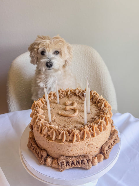 Dog Birthday Cake